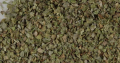 Marjoram Leaf Organic Bulk