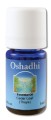 Cedar Leaf (Thuya) Professional Aromatherapy Essential Oil Wildcrafted 5 ml Oshadhi