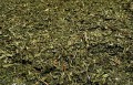 Stevia Leaf Organic Bulk